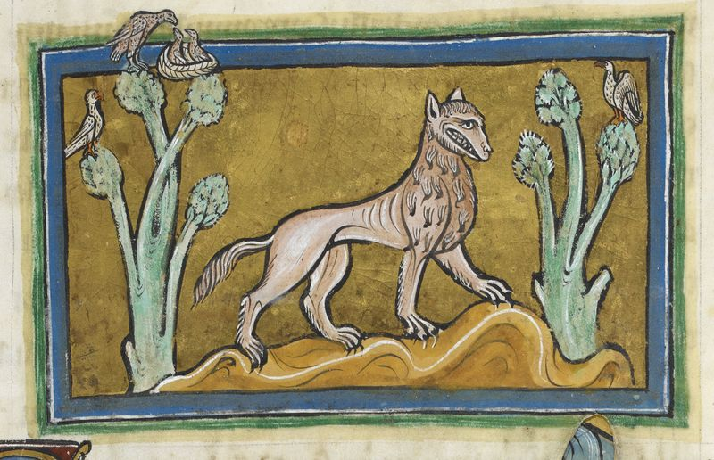 Illustration for article titled A Bestiary Of Largely Forgotten Medieval Creatures